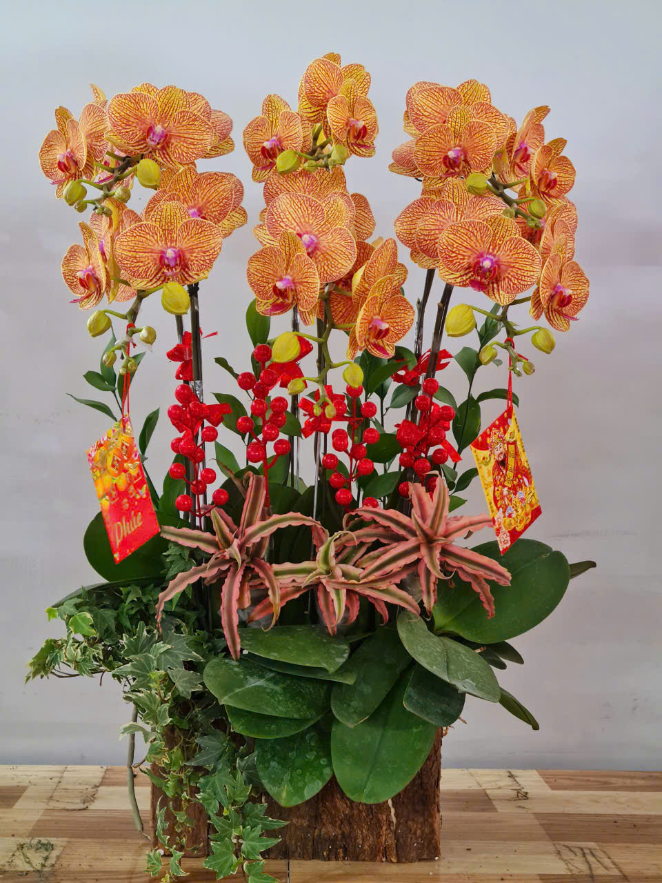 Lan Hồ Điệp Tết 42