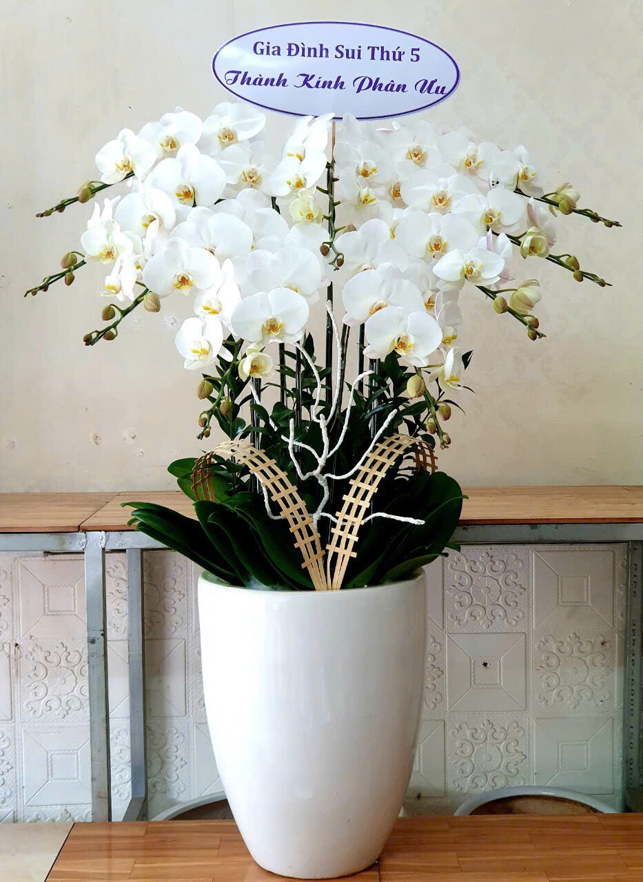 Hoa Đi Viếng: Thay Lời Chia Buồn Gửi Đến Gia Đình