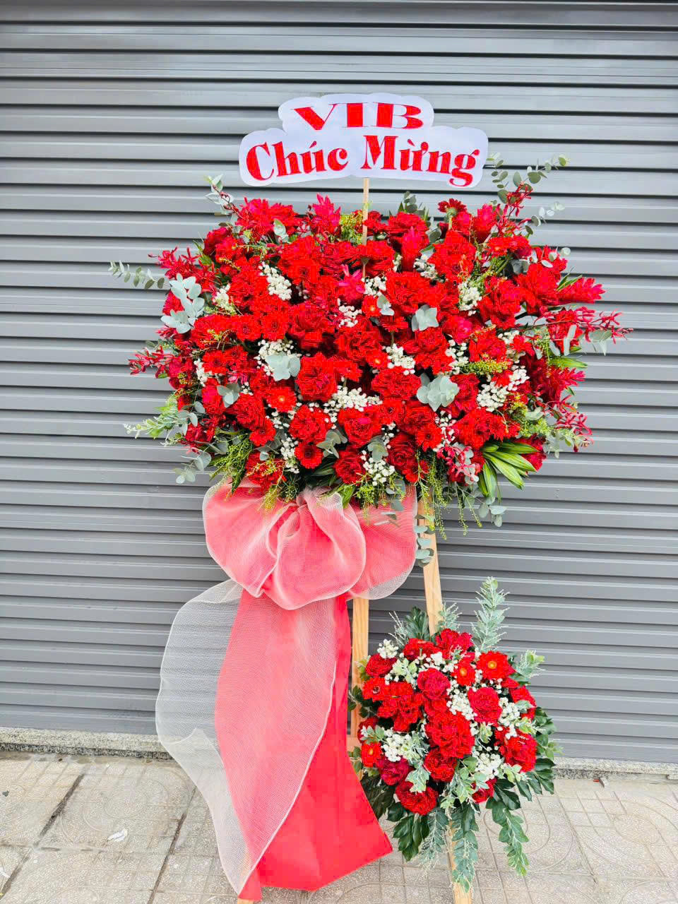 Hoa Lan Hồ Điệp - Vẻ Đẹp Từ Thiên Nhiên