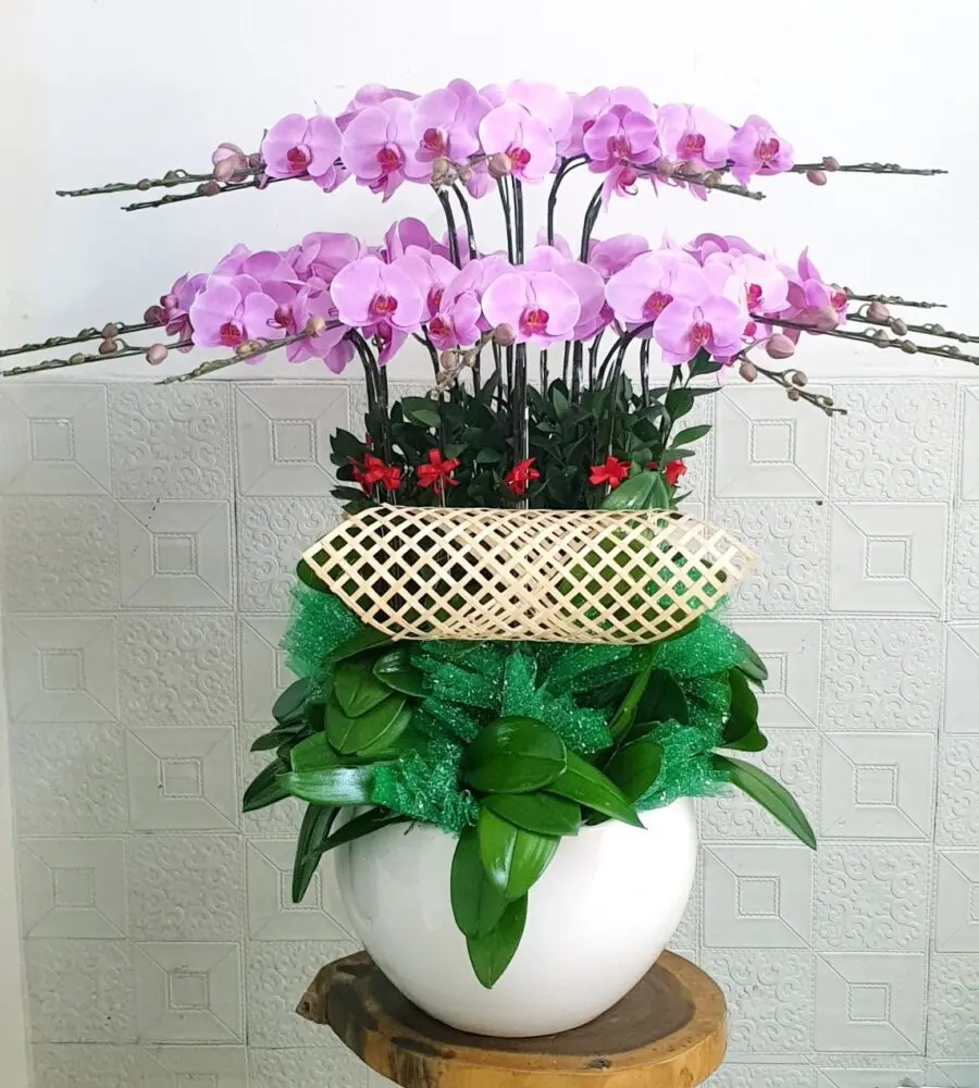 Shop Hoa Gần Đây / Shop Hoa Lan Hồ Điệp