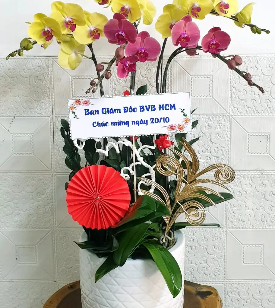 Shop Hoa Lan Nữ Hoàng : Đặt Hoa Online Giao Hoa Tận Tay