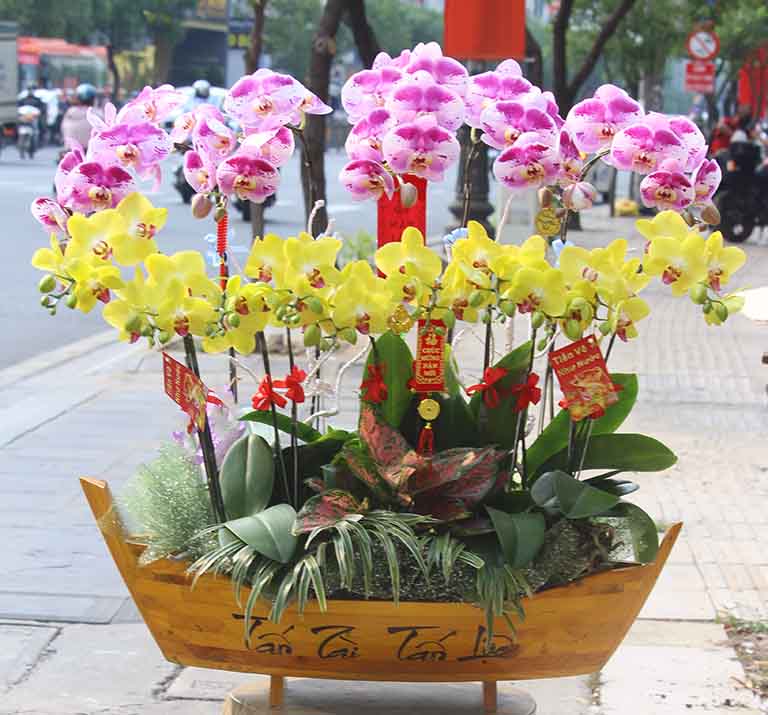 Shop Hoa Lan Hồ Điệp Quận 3 – Mẫu Cắm Đẹp Và Giá Tốt Nhất