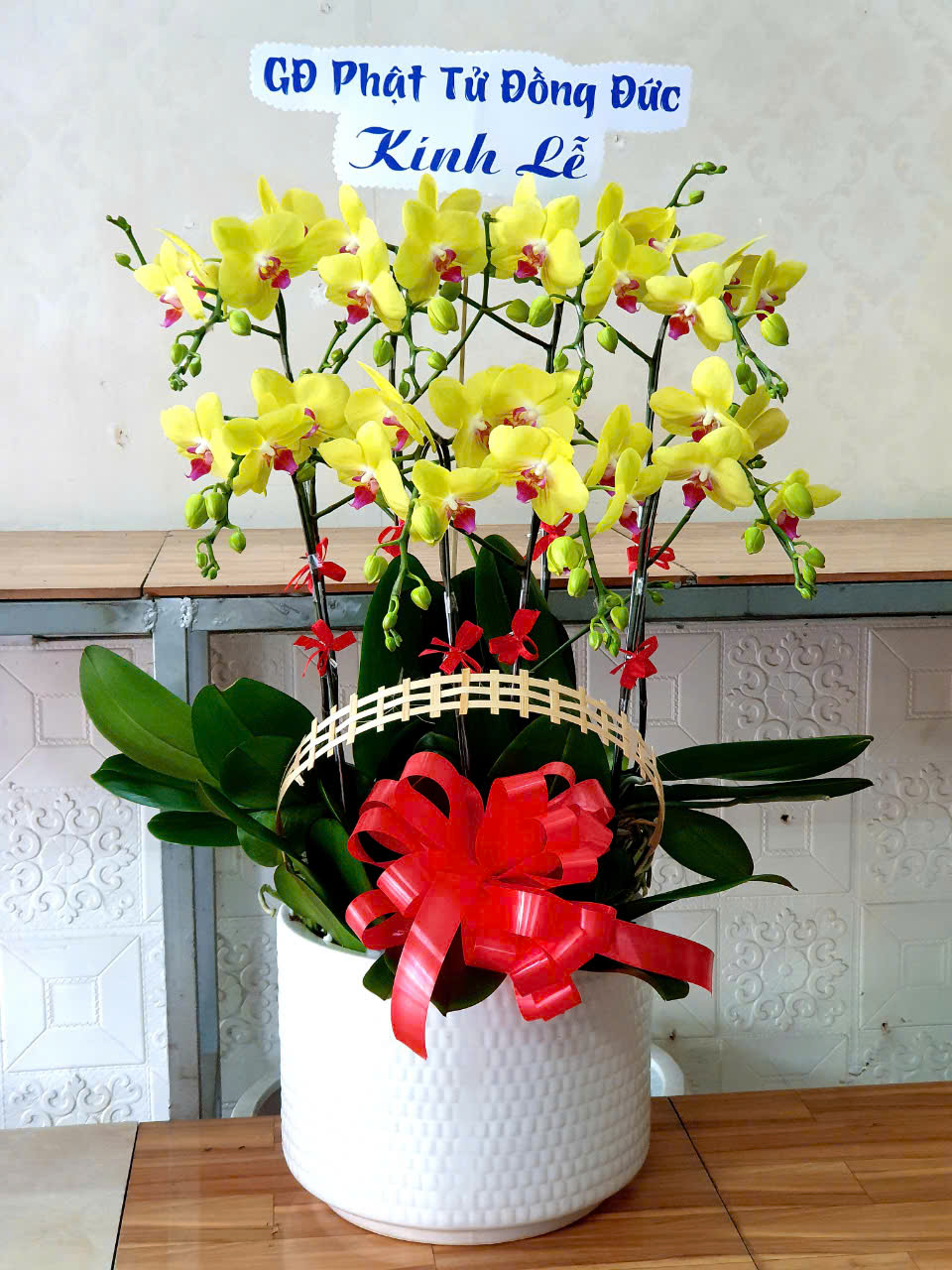 Hoa Lan Hồ Điệp Khai Trương: Món Quà Ý Nghĩa Và Sang Trọng