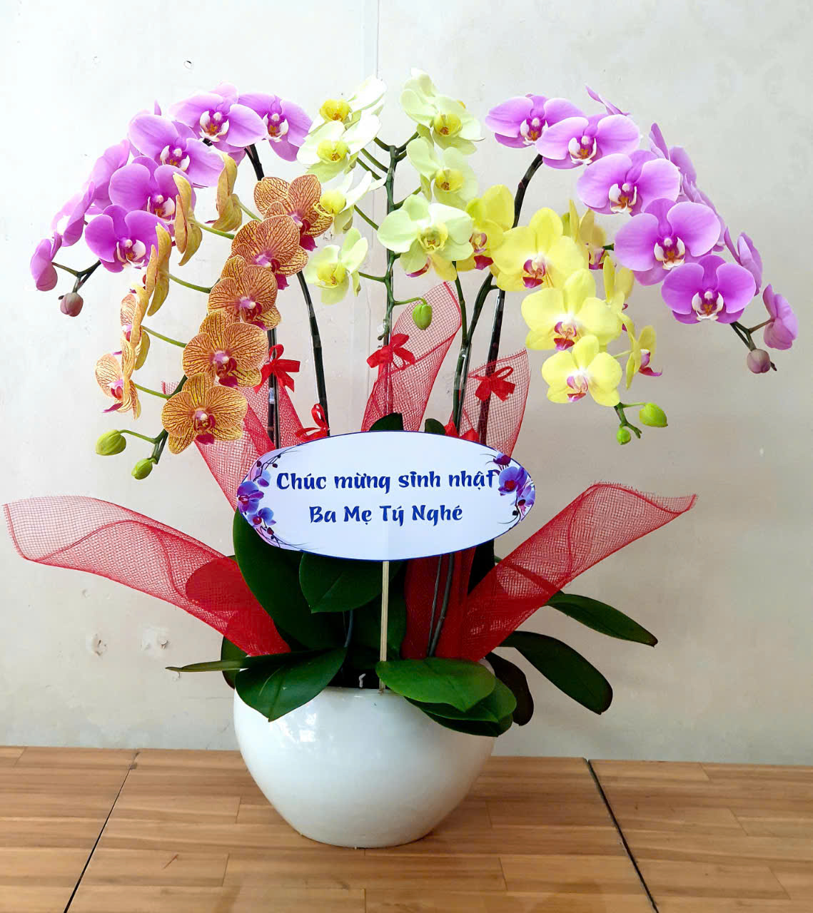 Lan Hồ Điệp Chúc Mừng 20-10 – Món Quà Ý Nghĩa Cho Phụ Nữ Việt Nam